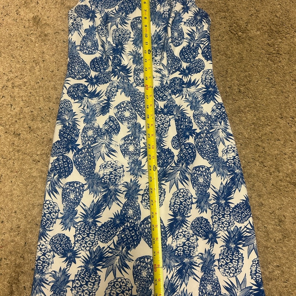 Blue and White Sleeveless pineapple Dress - Picture 6 of 7